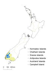 Veronica murrellii distribution map based on databased records at AK, CHR & WELT.
 Image: K.Boardman © Landcare Research 2022 CC-BY 4.0
